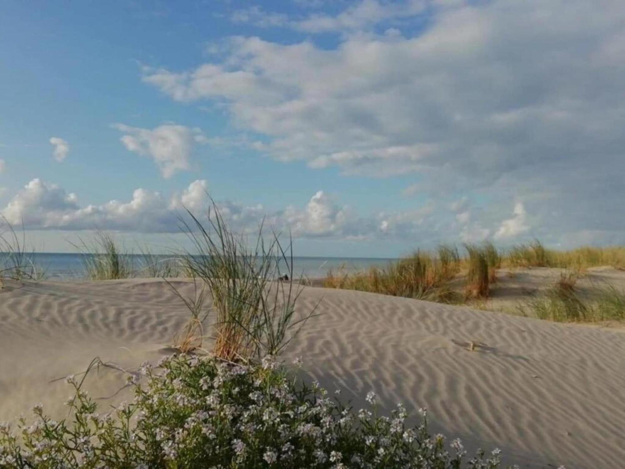 Beautiful Holiday Home With Pool Quend Eksteriør billede